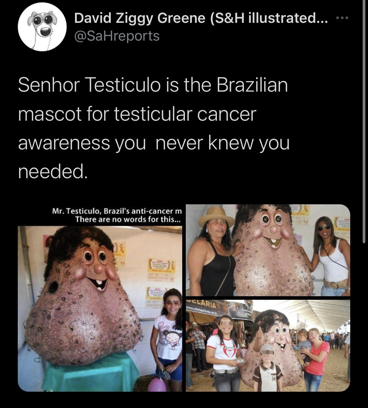 Brazilian mascots