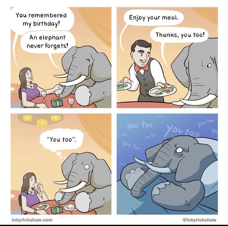 Elephants never forget