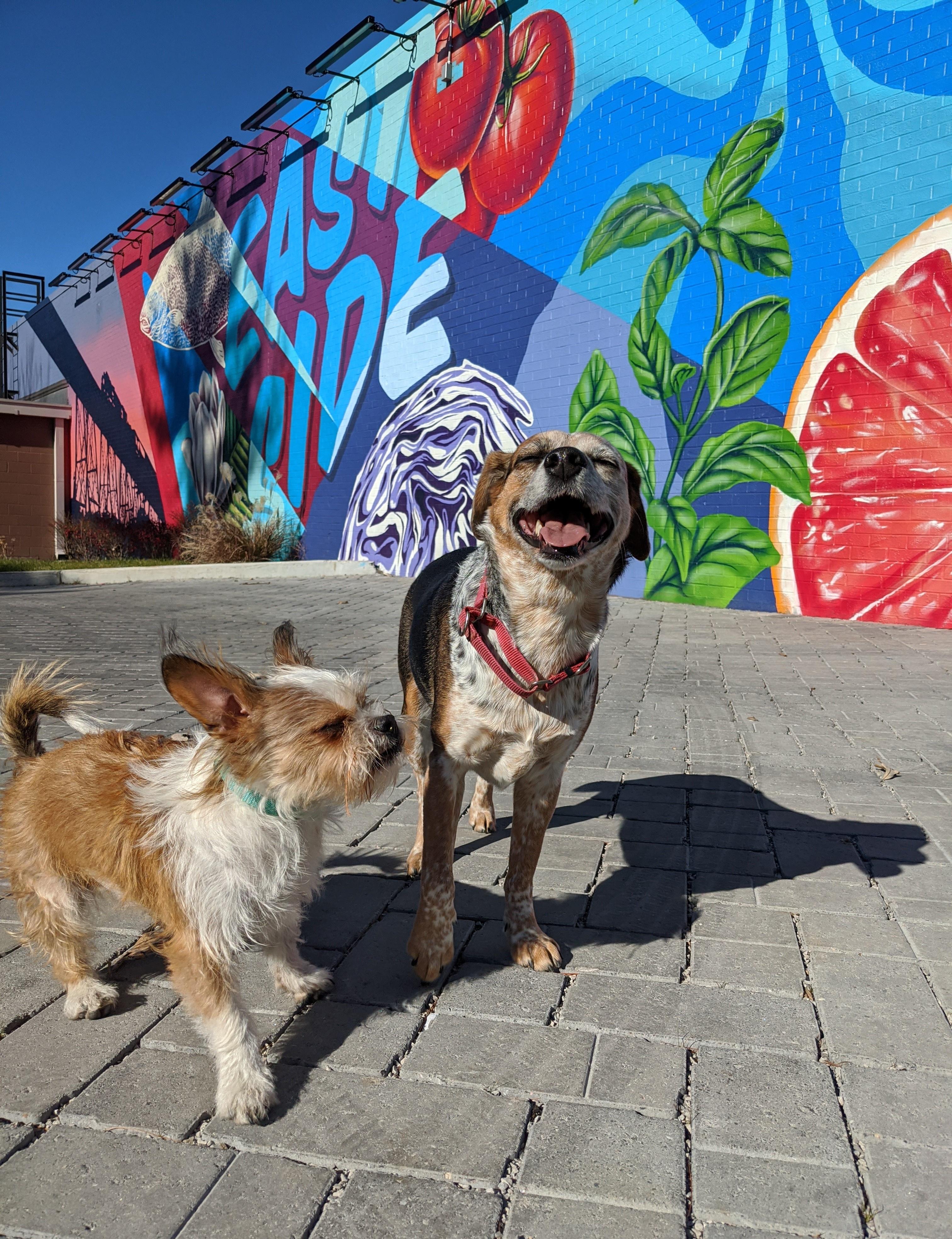 Thank you so damn much