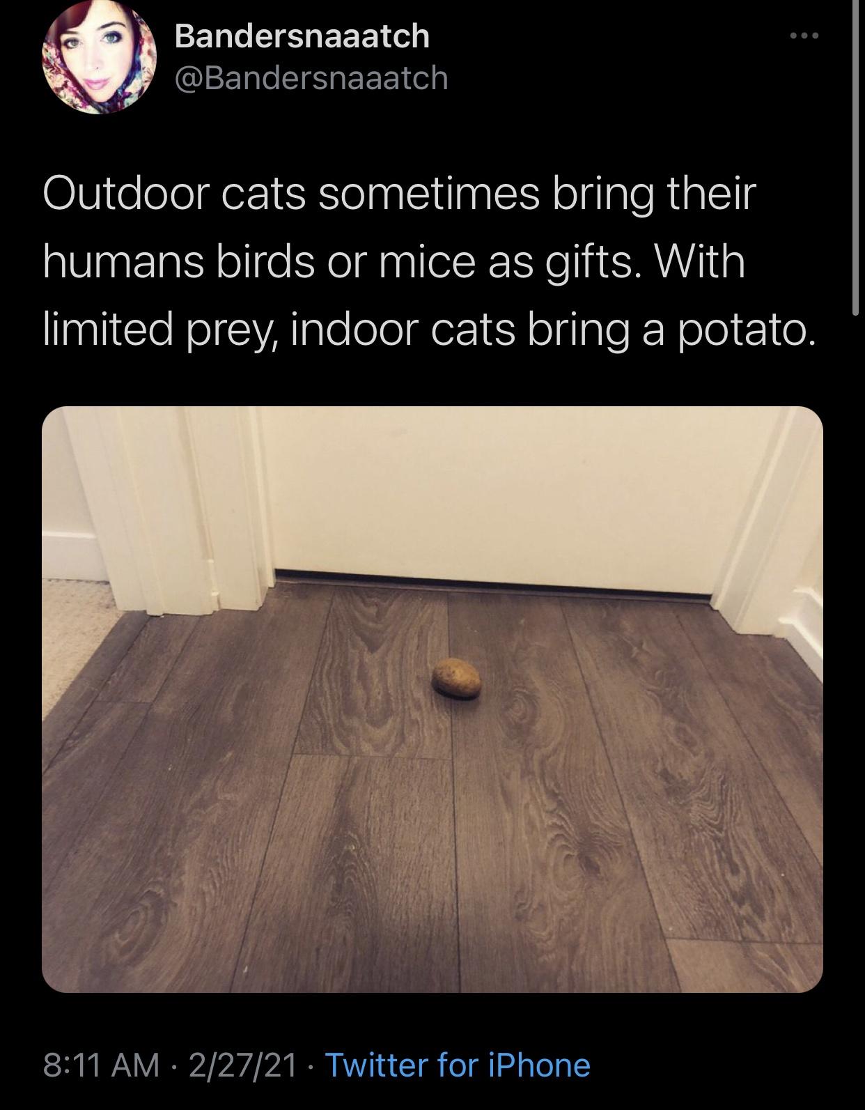 Funny Random Meme and Twitter Dump