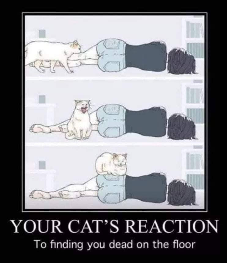 Stuff that made me snicker