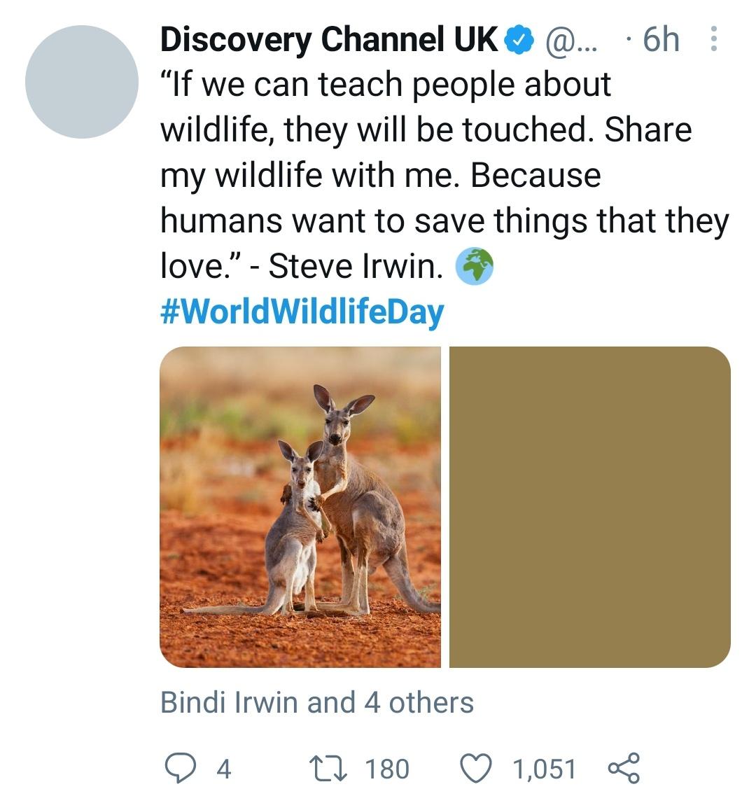 Happy World Wildlife Day.