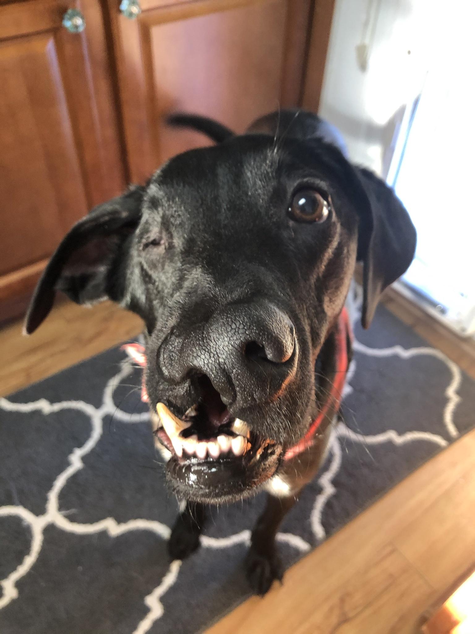 It&rsquo;s Felix Friday!