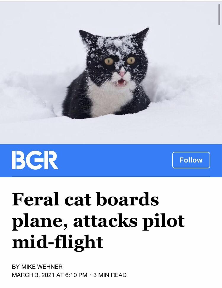 In case you missed it