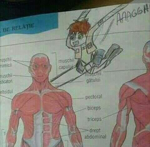 The fact that I recognize this is a minor triumph.