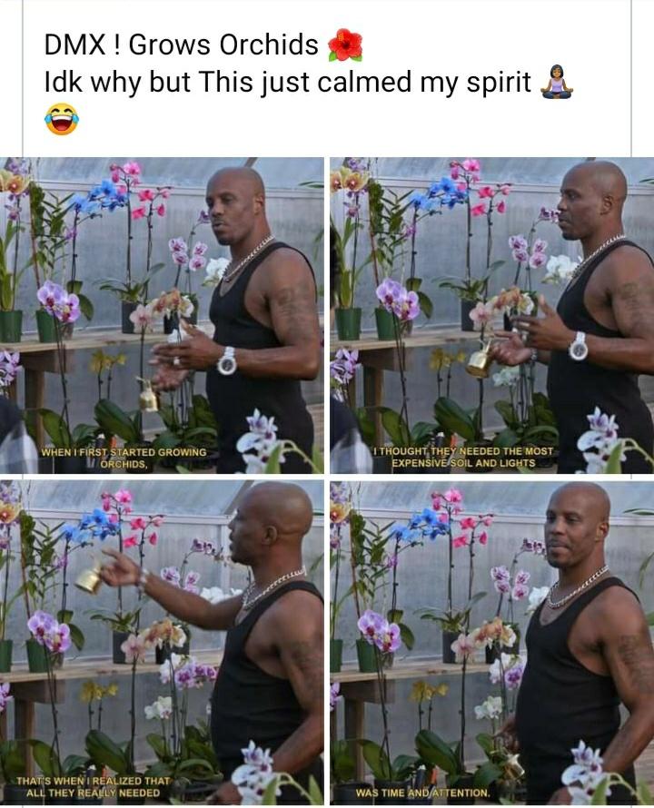 X gonna give it to you...