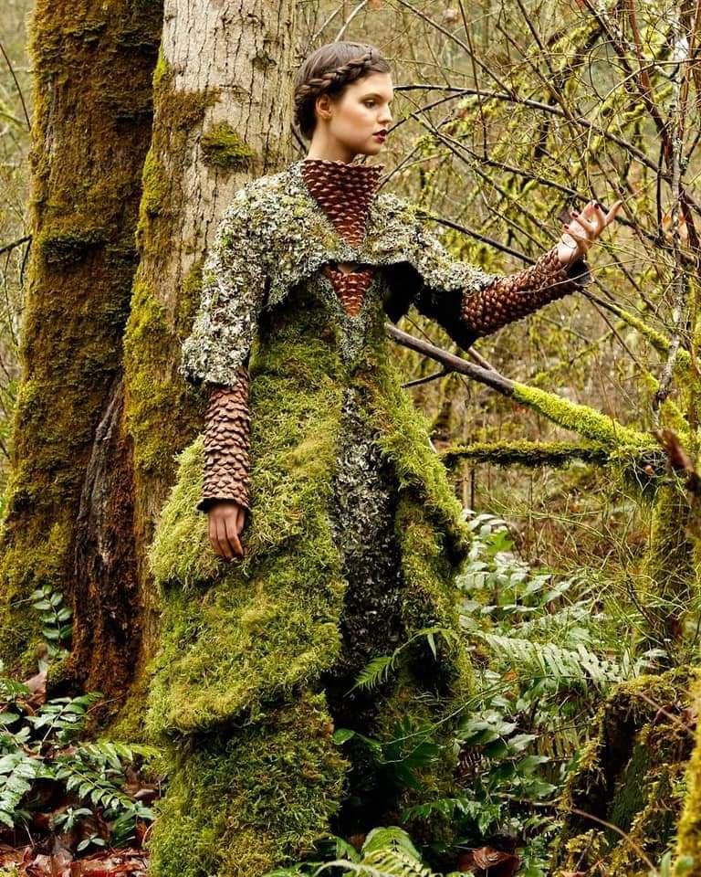 Takes mushrooms once.