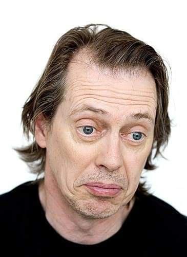 The same picture of Steve Buscemi every day. Day 500