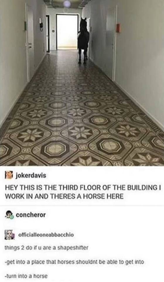 Dump of stuff that made my day ones