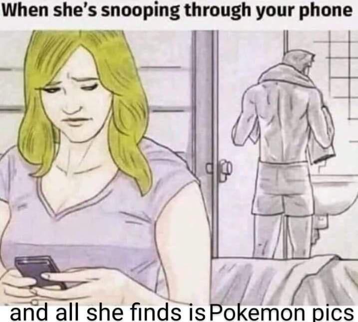 Pokemon stolen dump
