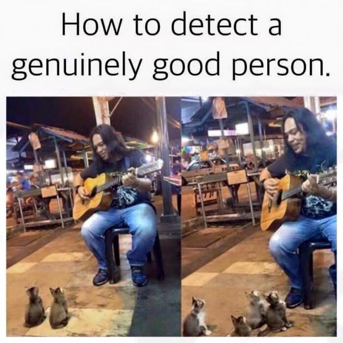 In this dump you will see kinky cats, a depressed clown eat his feelings, and wonder what the chicken of the tree tastes like.