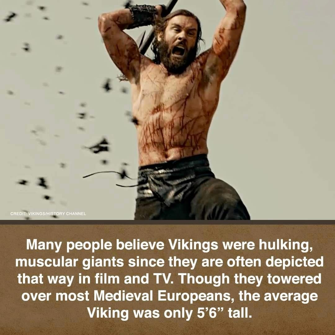 Vikings Facts.
