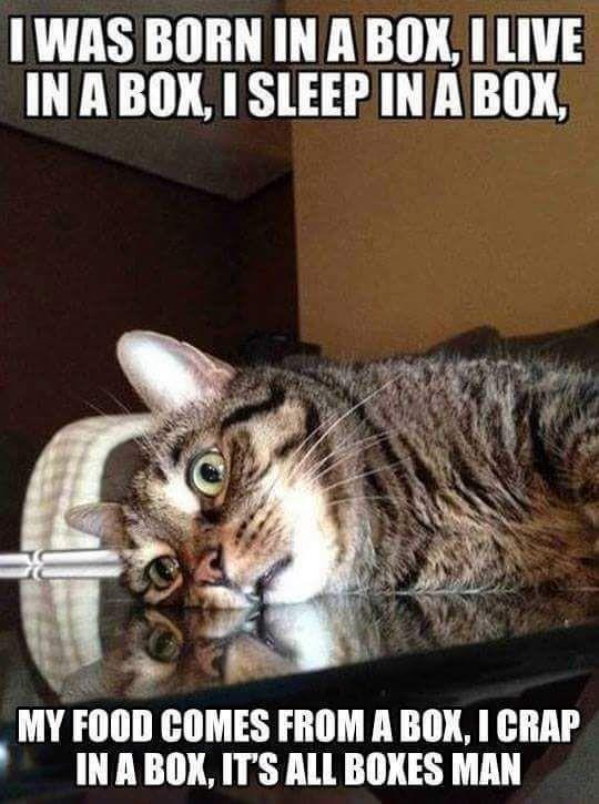 It's all boxes man..