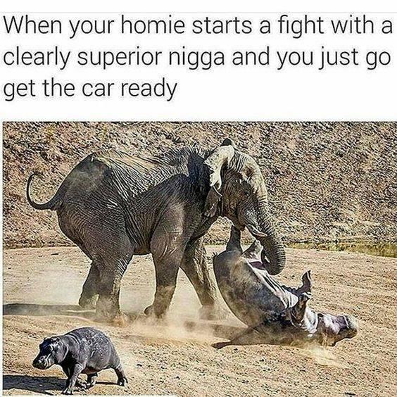 Pairing down favorites dump of memes that made me chuckle-snort