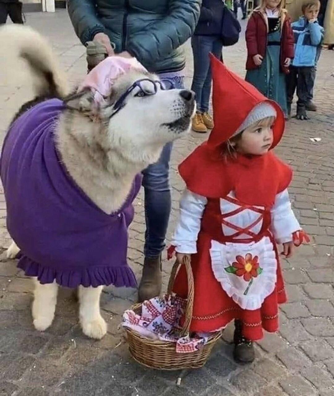 Floof Grandma & Little Red Riding Hood