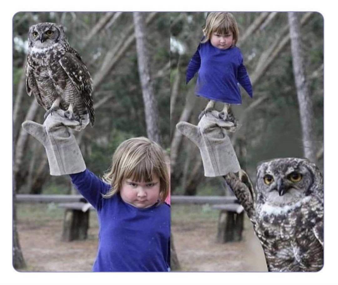 Lmao! Make it fly....