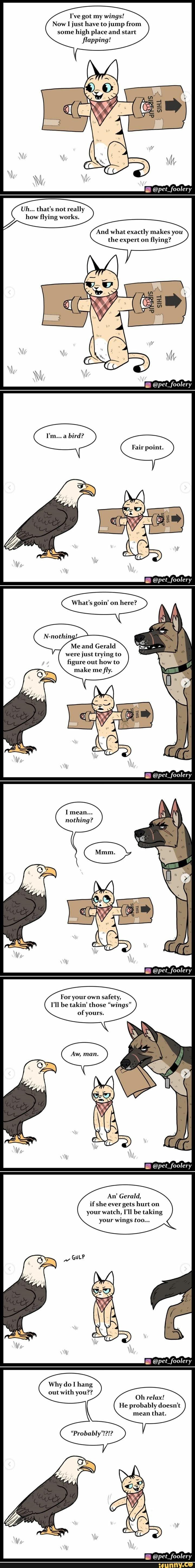 Now I Just have to jump from some high place and start  flapping!