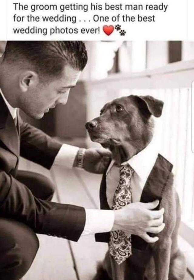 A man&rsquo;s best friend and a friend&rsquo;s best man