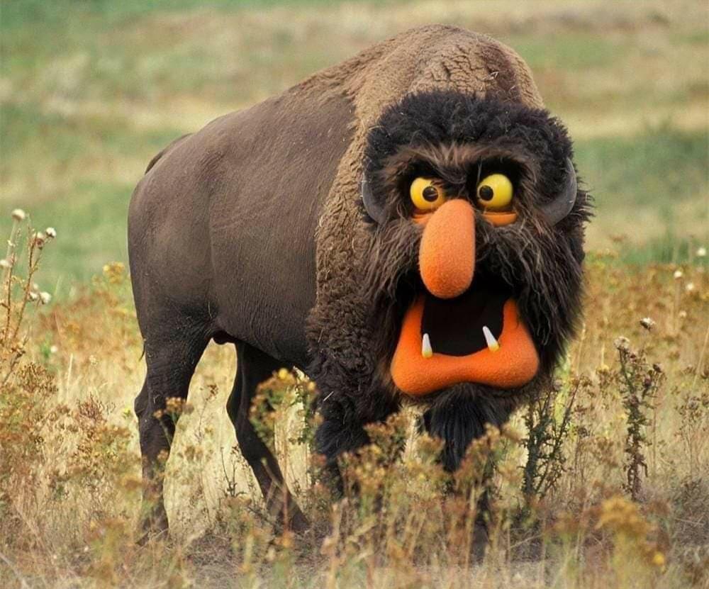 I'm feeling hyper today