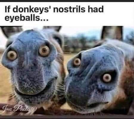 I can't unsee this, and now, neither can you.