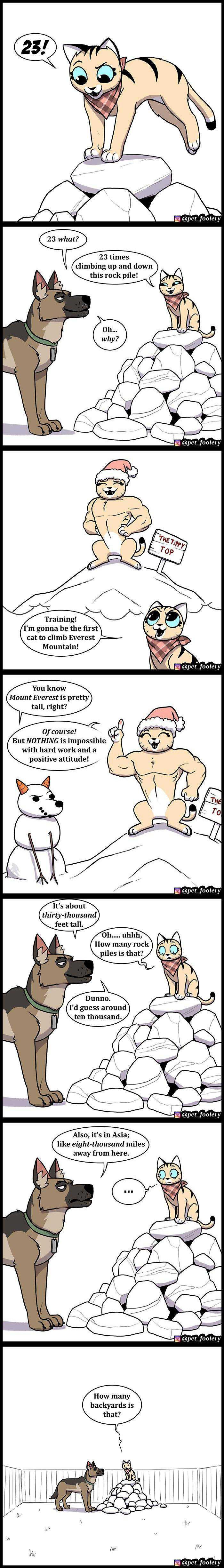 A lot of backyards,...Pixie !