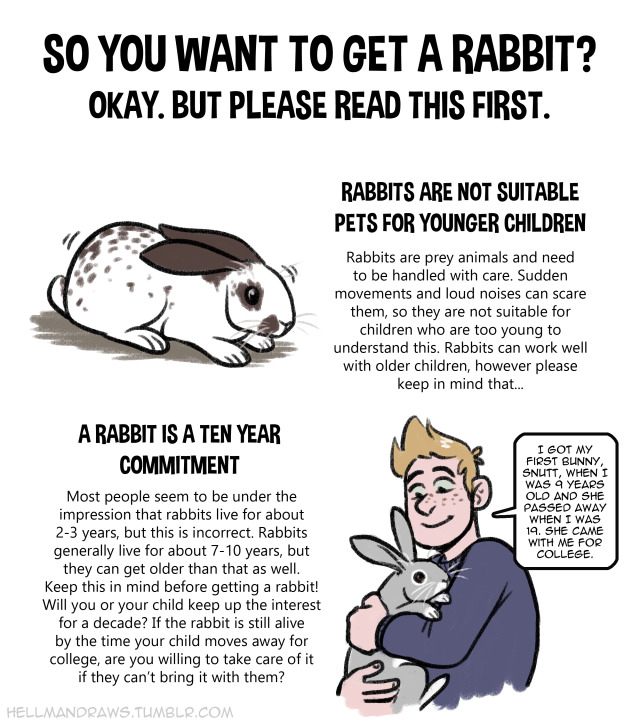 Rabbit pet info for easter