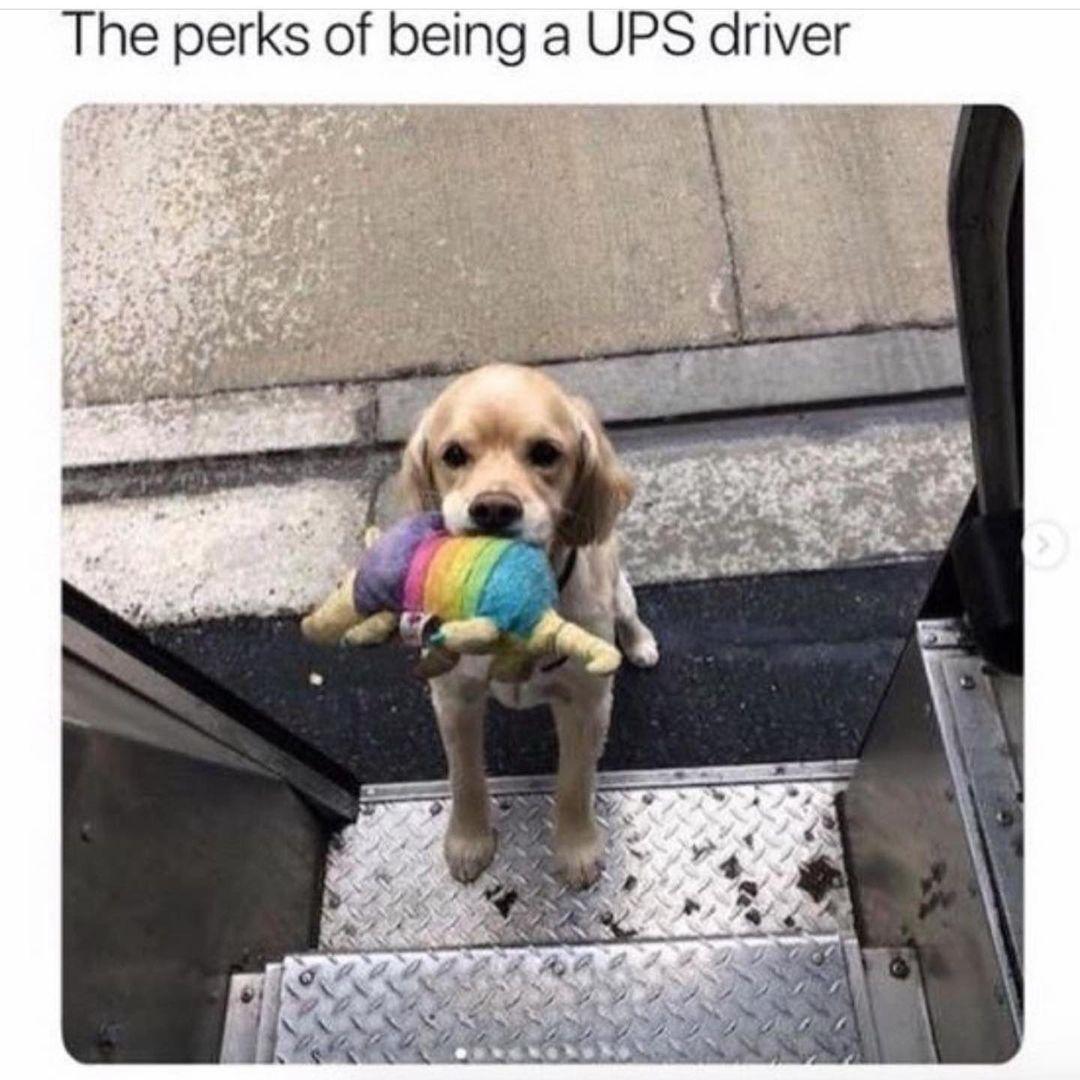 Not bad perks at all