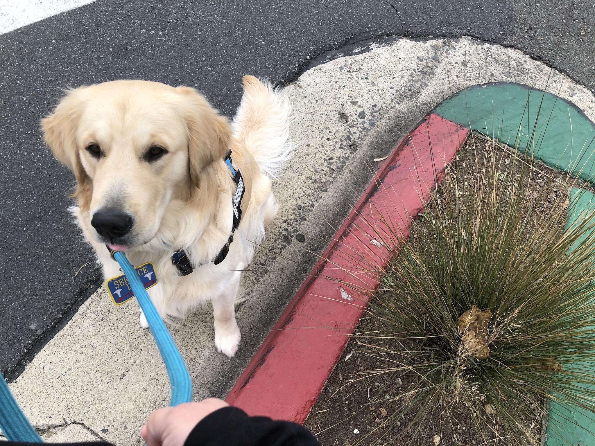 My Most Meh Pictures