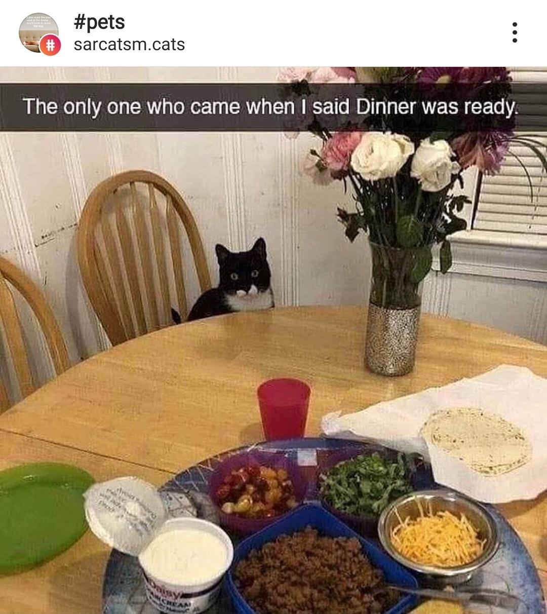 At least someone appreciates me