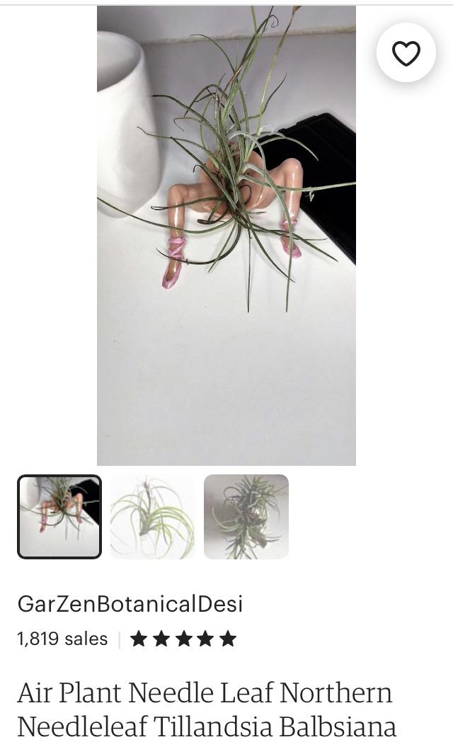 Become a plant parent they said...