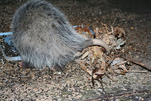 I learned something new.