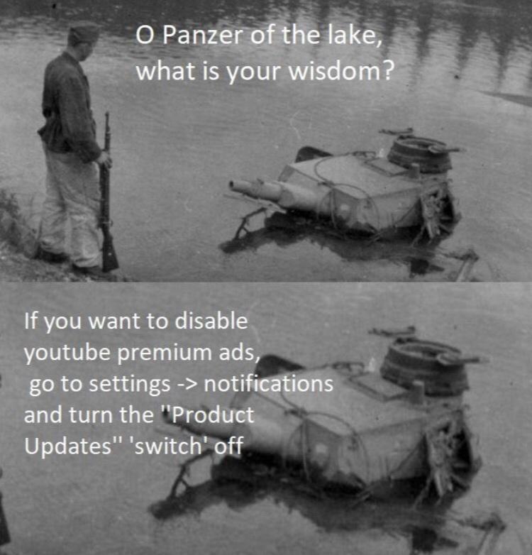Panzer of the Lake is wise beyond his years.