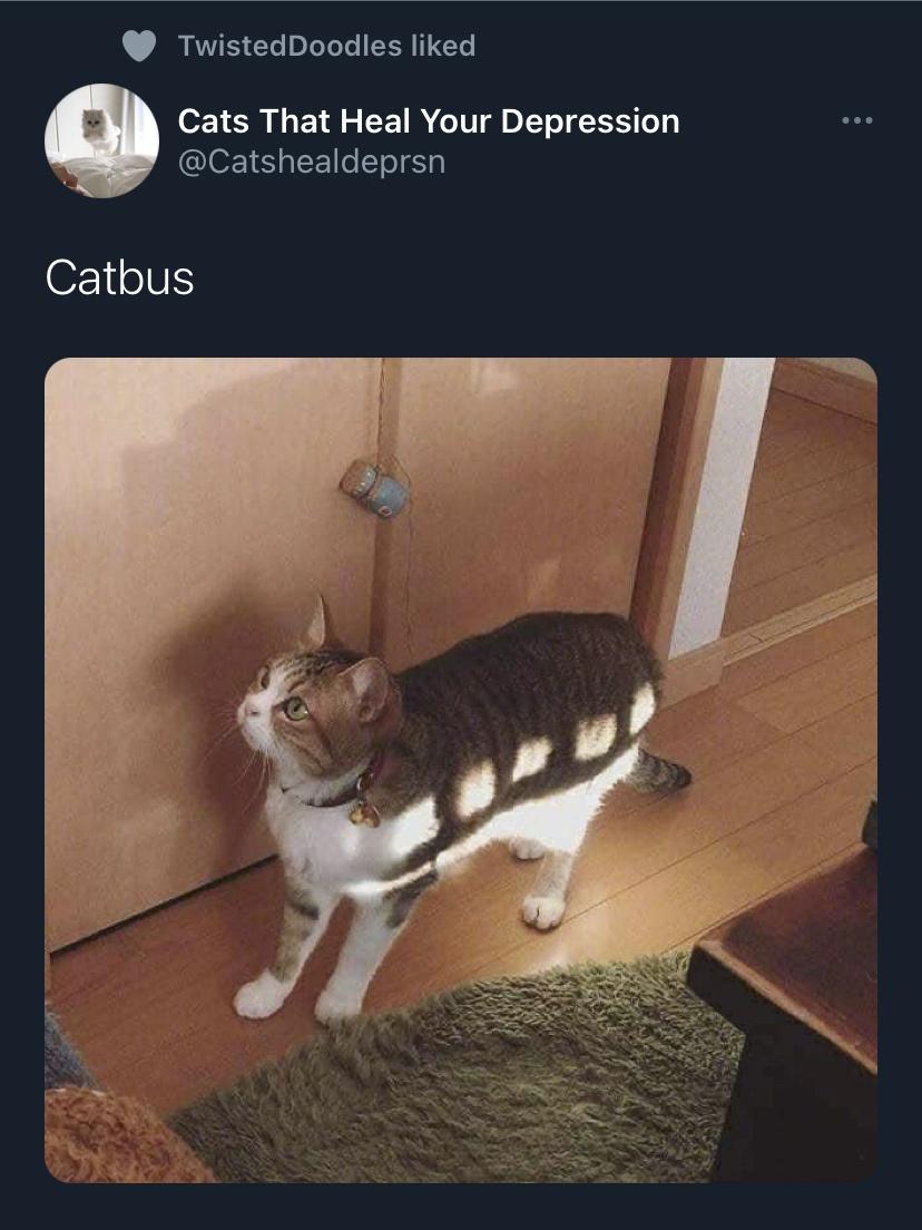 One of my favourite scenes from My Neighbour Toyota