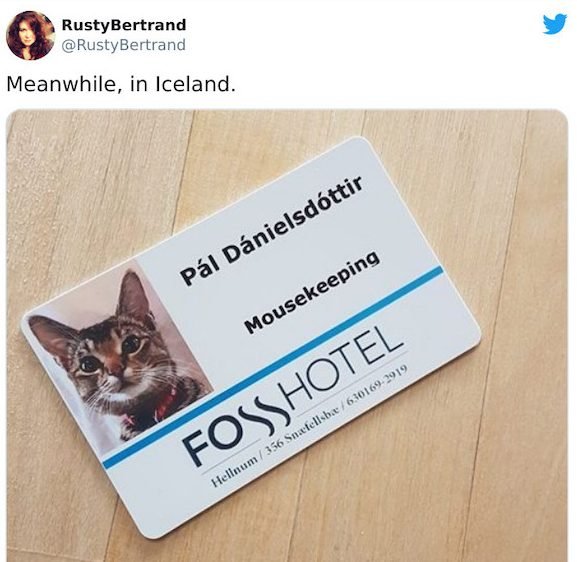 Mousekeeping is important