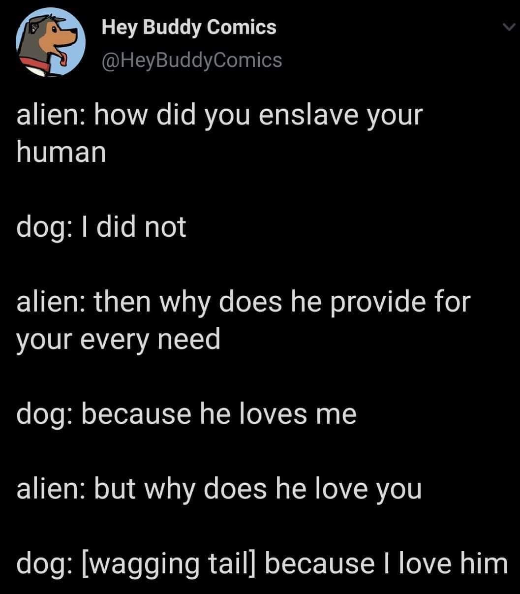 Wholesome Doggo Dump