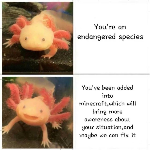 Kuinua (Uplifting, Swahilli)