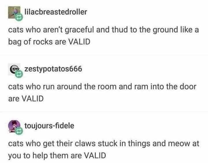 Just a few memes for your mid afternoon, friends :) enjoy!