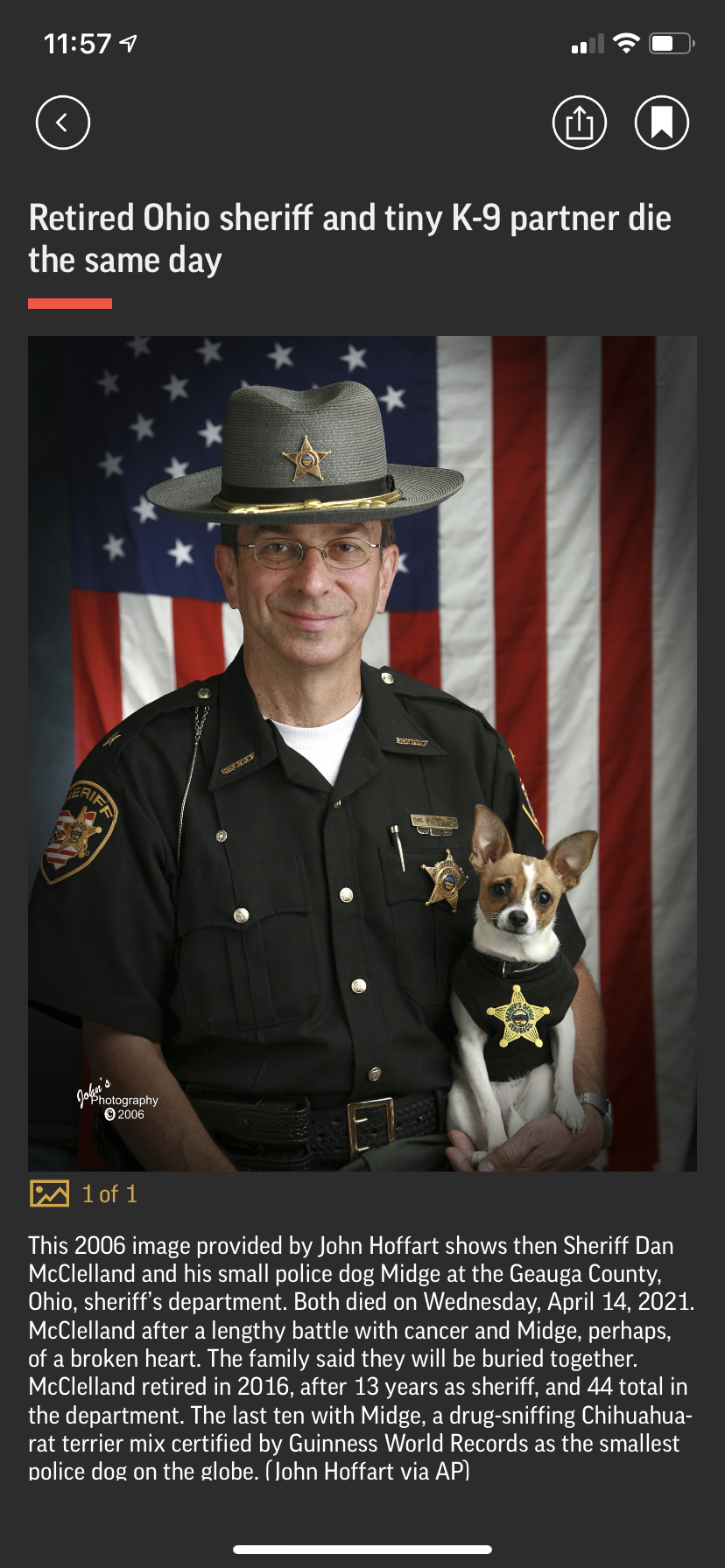 This is an amazing dog & her human story...