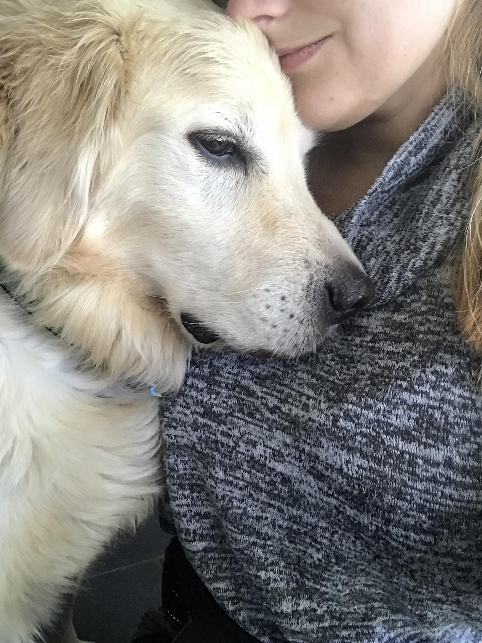 These dogs have a very specific way of showing affection... the head press.