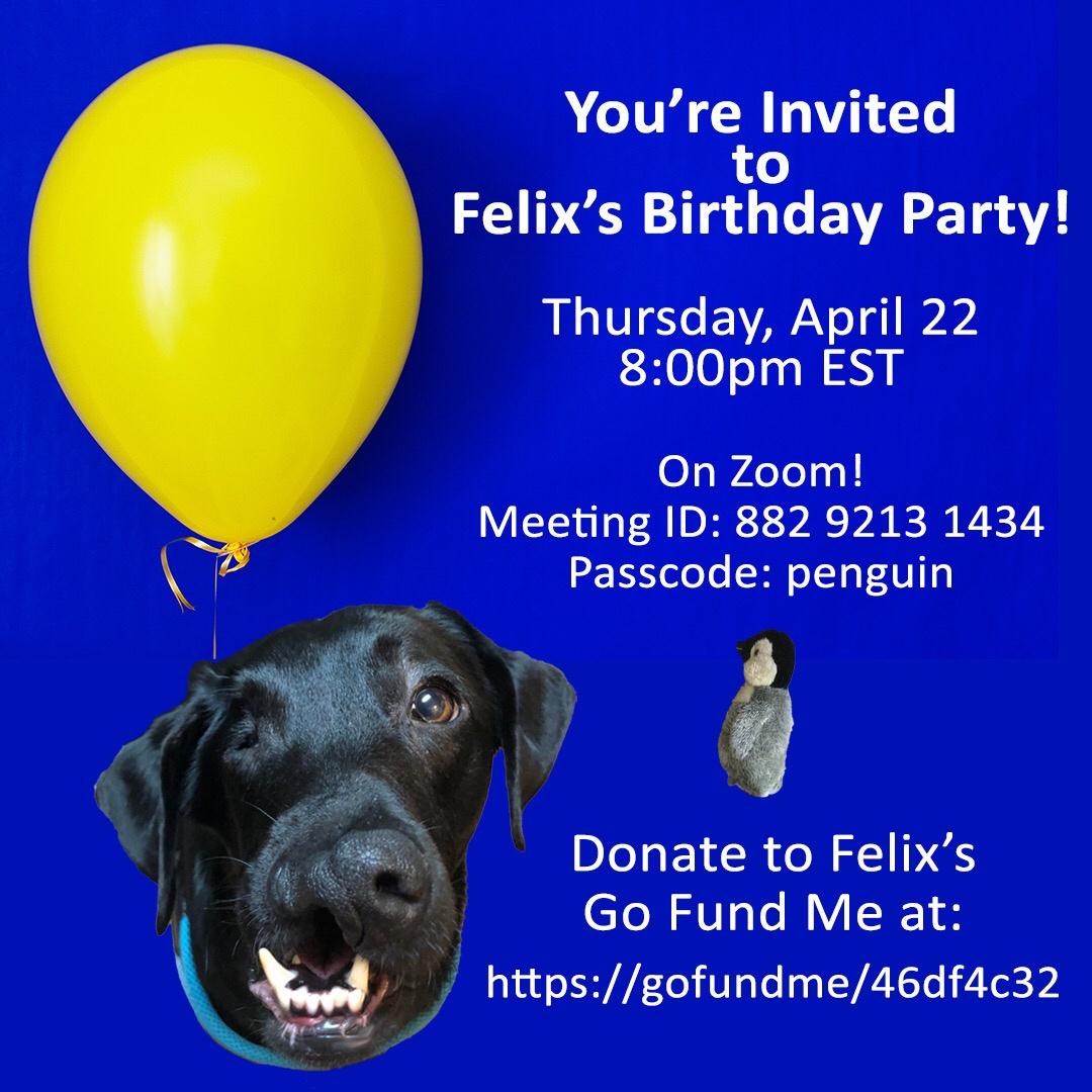 Felix is having a birthday party on Zoom!!!!  You can meet him and some other foster puppies. Thursday!