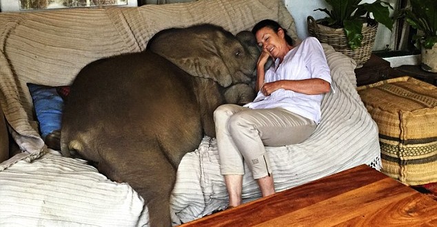 If you're hot outside, they're hot. Bring them inside.