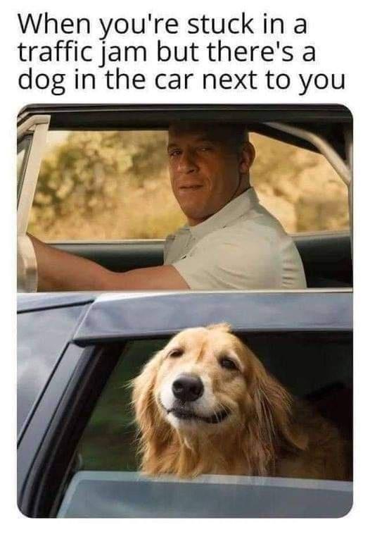 Dump for a great weekend