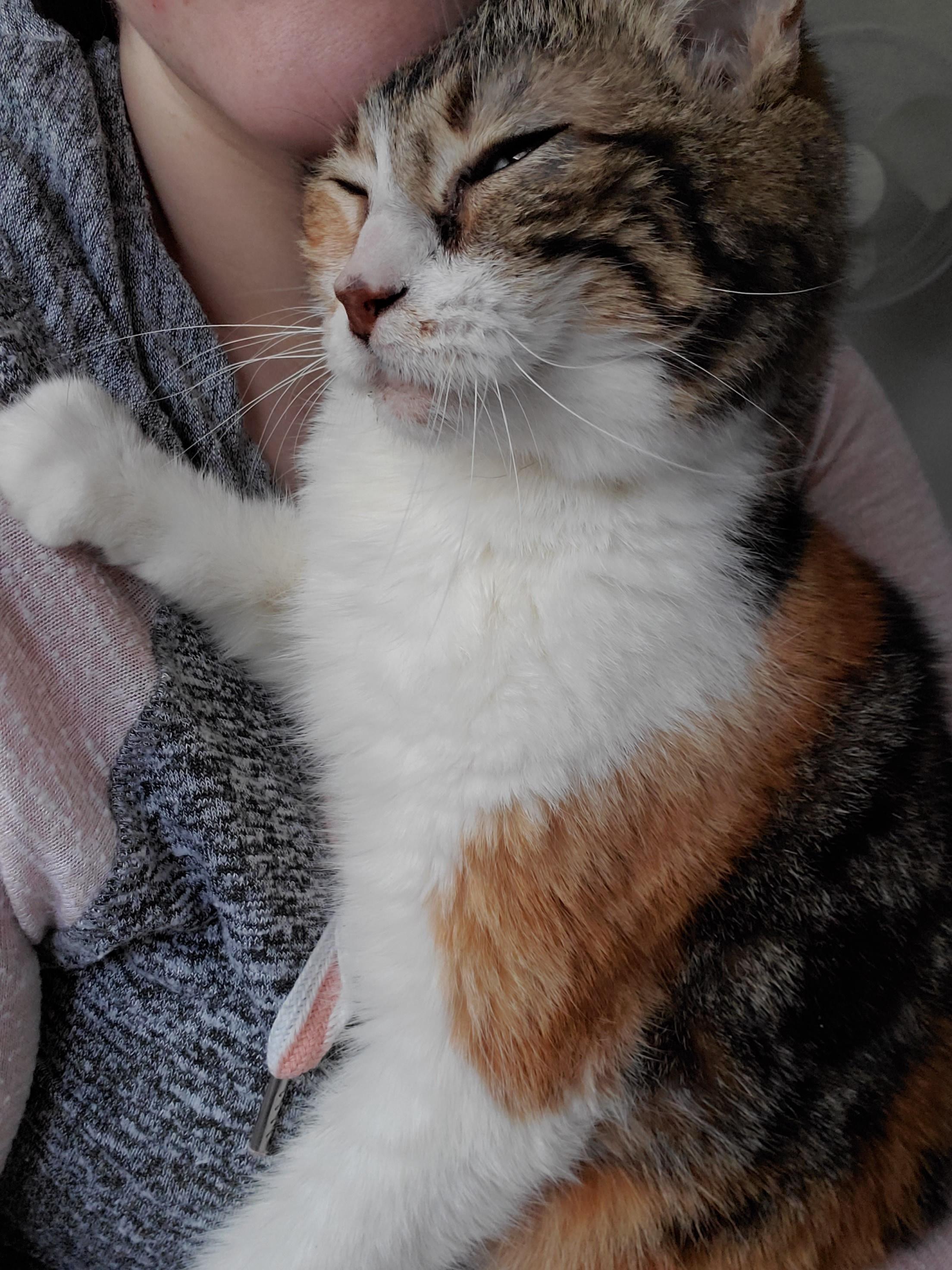 She was everything and more. Good night, Bear.