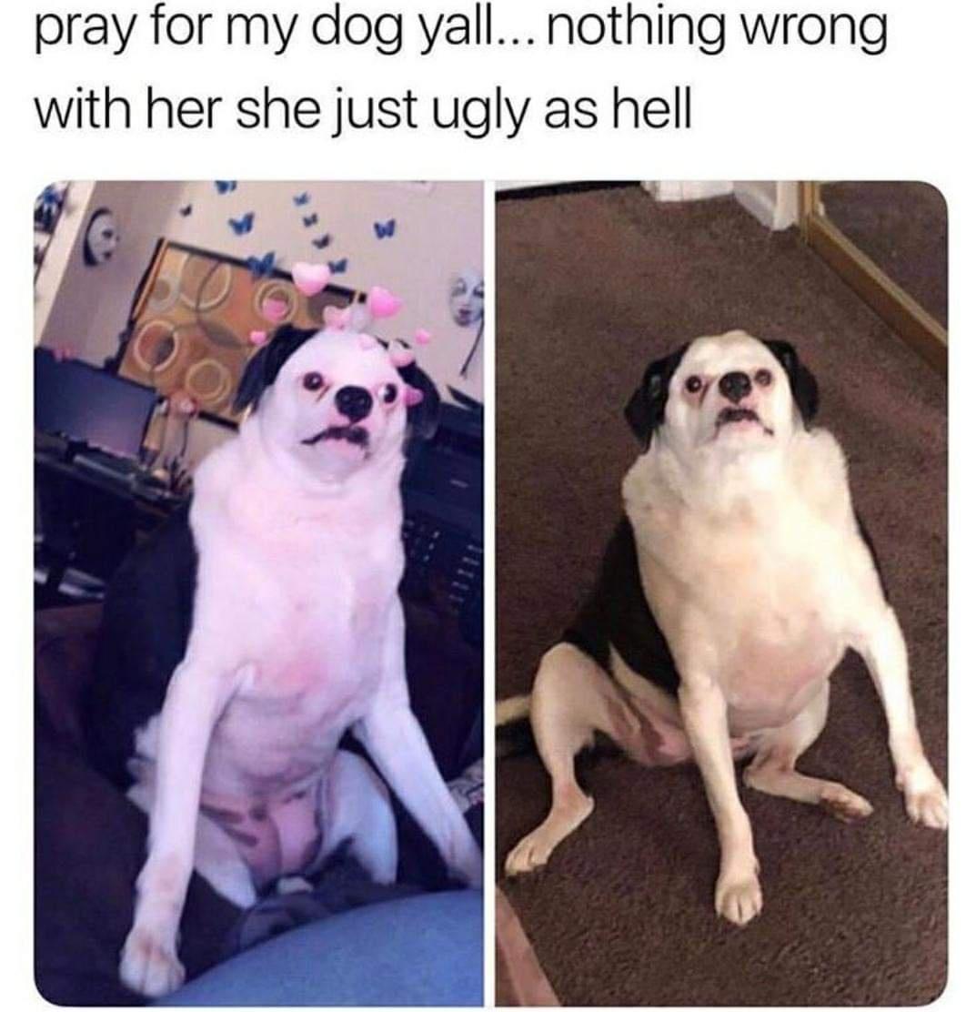 Handpicked memes pt. 19