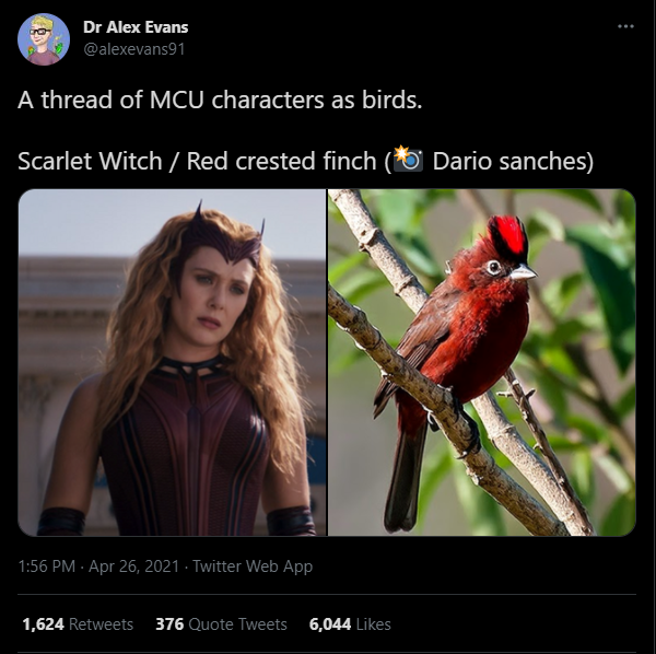 Interesting crossover