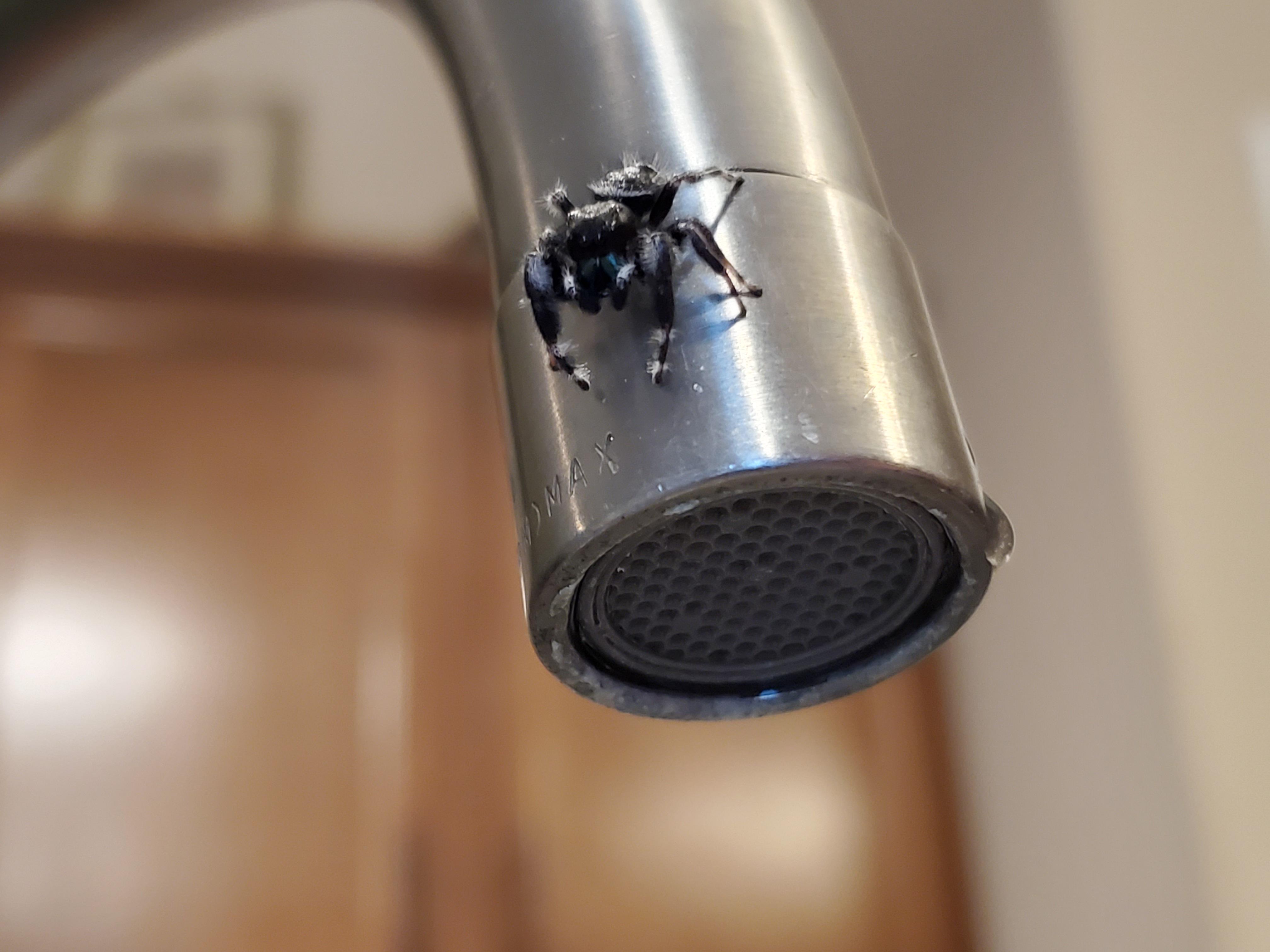 Lucas came to visit me