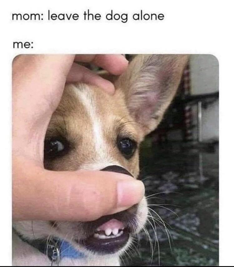 A small-ish dump with a surprise at the end! Have a good weekend, friends :)