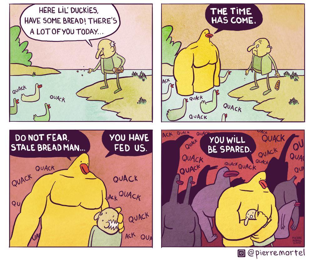 I for one welcome our new duck overlords.