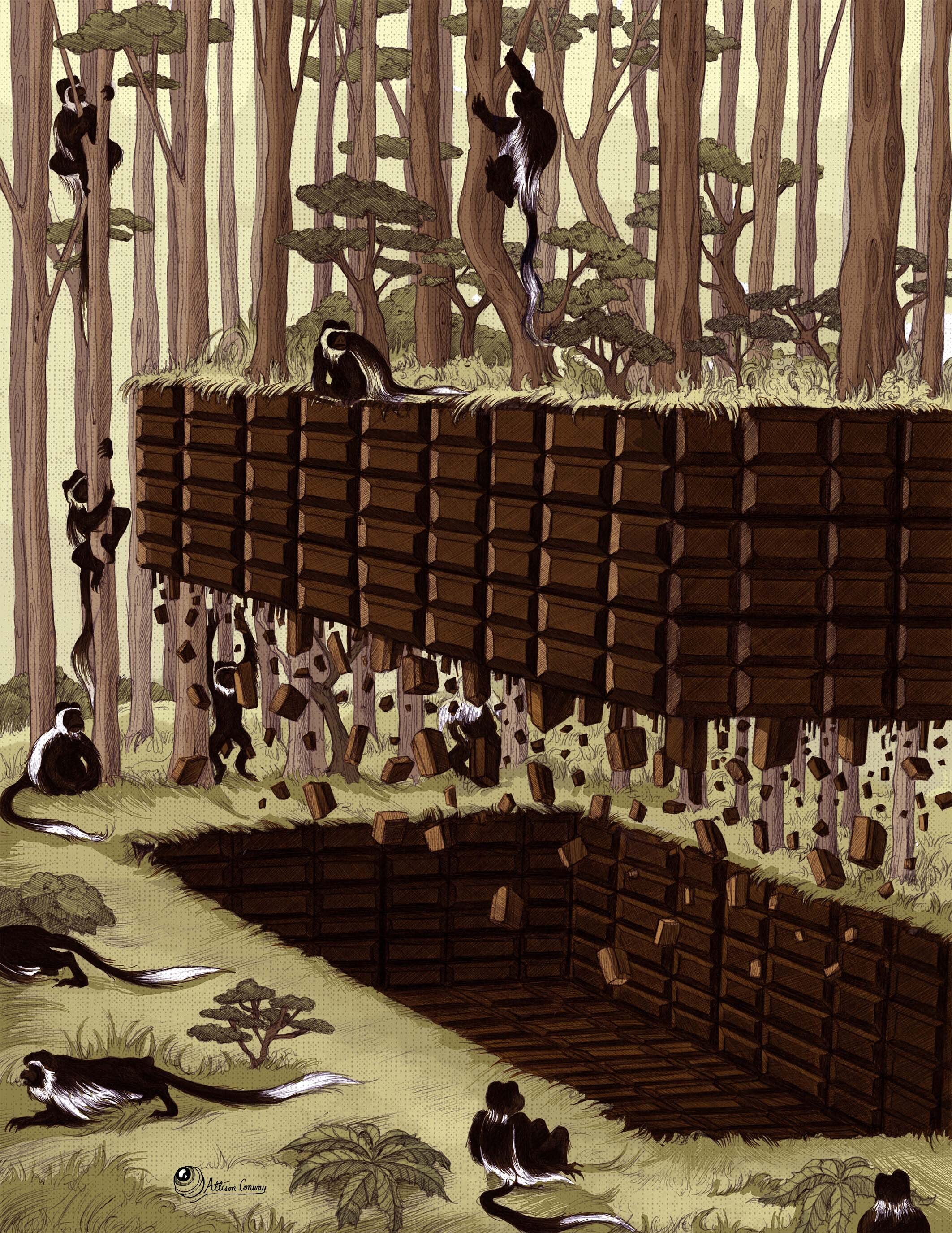 Illegal Cocoa Farming, Allistrations/Me, Ink & Digital, 2020
