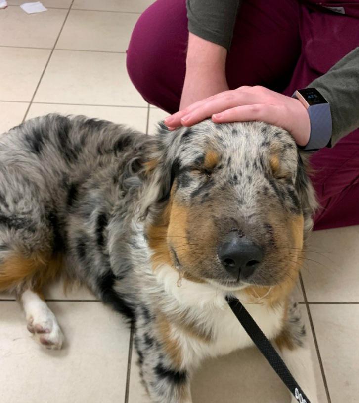 Do I regret eating a bee? Yes. Would I do it again? Yes.